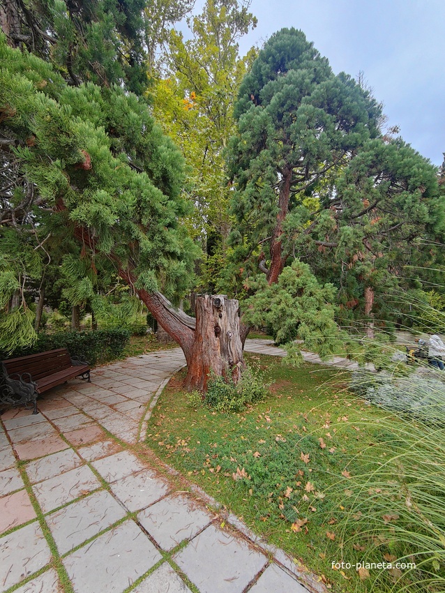 Парк "Дюльбер". Разбит в конце XIX в. Инициатор создания парка - великий князь Петр Николаевич Романов (внук Николая I). Проект парка с учётом эскизов Романова разработал ялт. арх. Н. П. Краснов, высажен с участием  крымского садовода Л. Кремера.