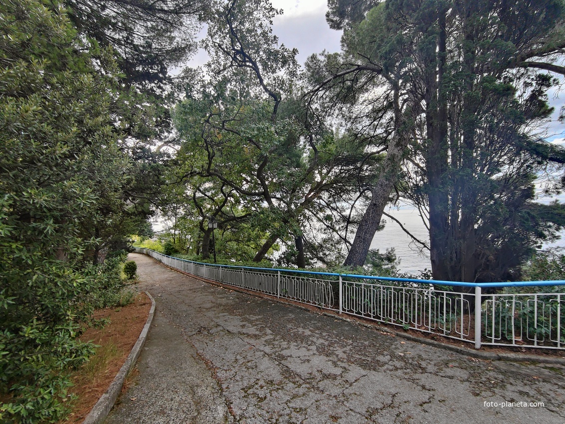 Парк "Дюльбер". Разбит в конце XIX в. Инициатор создания парка - великий князь Петр Николаевич Романов (внук Николая I). Проект парка с учётом эскизов Романова разработал ялт. арх. Н. П. Краснов, высажен с участием  крымского садовода Л. Кремера.