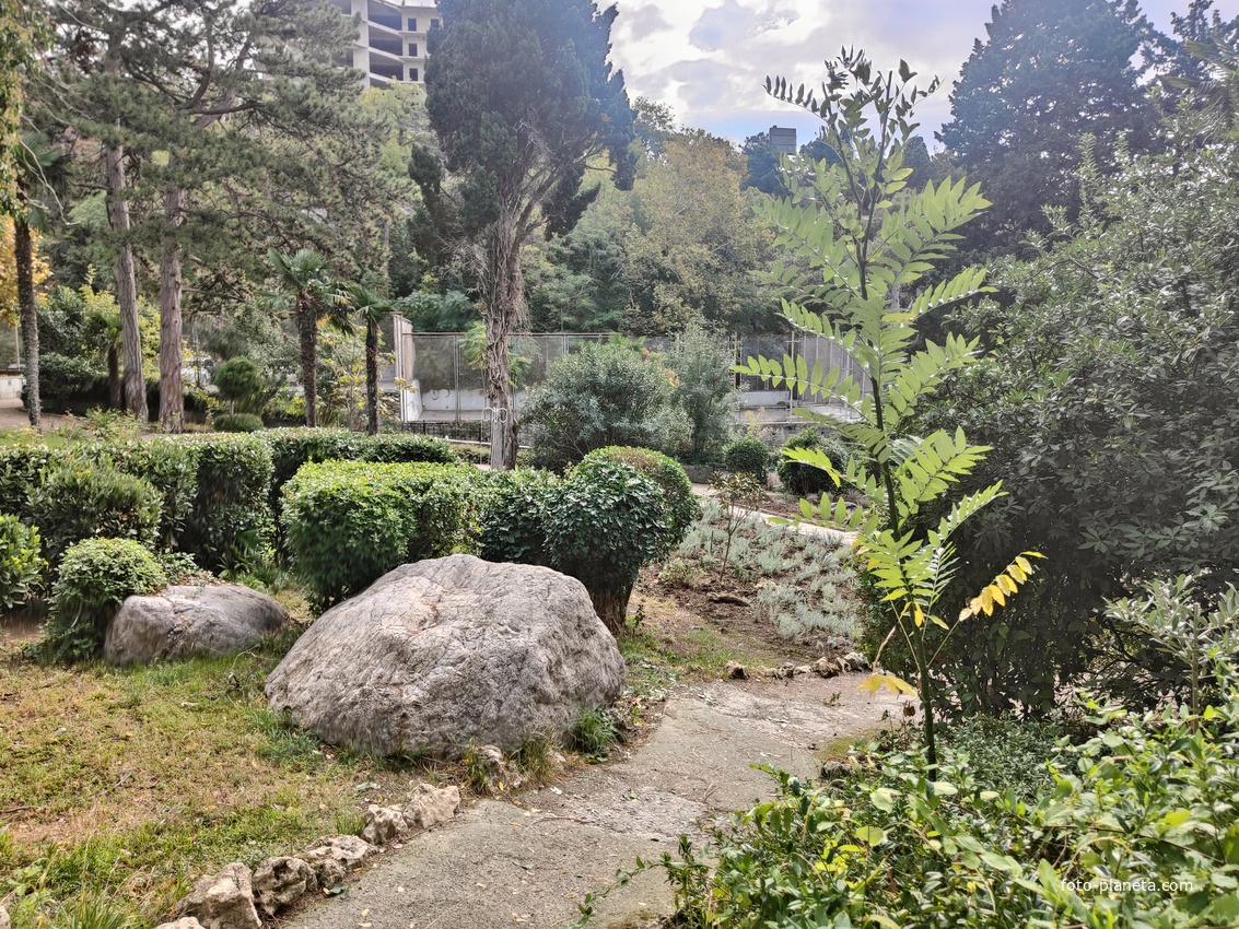 Парк "Дюльбер". Разбит в конце XIX в. Инициатор создания парка - великий князь Петр Николаевич Романов (внук Николая I). Проект парка с учётом эскизов Романова разработал ялт. арх. Н. П. Краснов, высажен с участием  крымского садовода Л. Кремера.