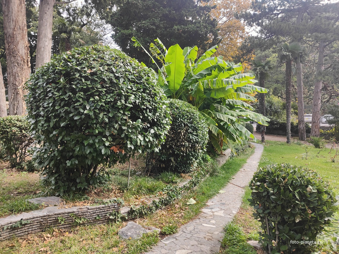 Парк "Дюльбер". Разбит в конце XIX в. Инициатор создания парка - великий князь Петр Николаевич Романов (внук Николая I). Проект парка с учётом эскизов Романова разработал ялт. арх. Н. П. Краснов, высажен с участием  крымского садовода Л. Кремера.