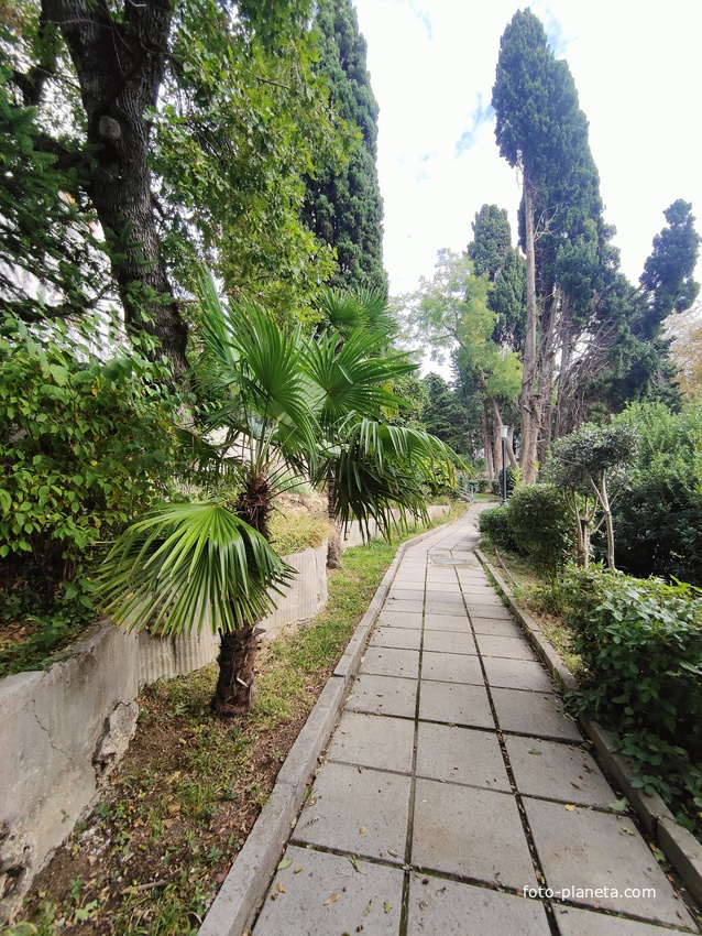 Парк "Дюльбер". Разбит в конце XIX в. Инициатор создания парка - великий князь Петр Николаевич Романов (внук Николая I). Проект парка с учётом эскизов Романова разработал ялт. арх. Н. П. Краснов, высажен с участием  крымского садовода Л. Кремера.