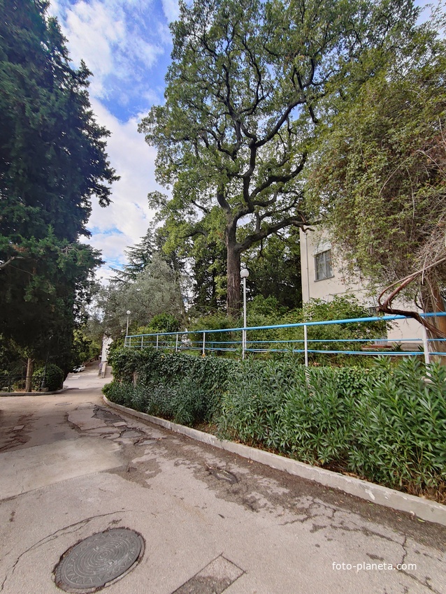 Дворц.-парк. ансамбль "Дюльбер". Построен с 1895 по 1897 г. Инициатор - велик. князь П. Н. Романов. Проект всего ансамбля с учётом эскизов Романова разраб. ялт. арх. Н. П. Краснов, парк высажен с участ.  крым. садовода Л. Кремера.