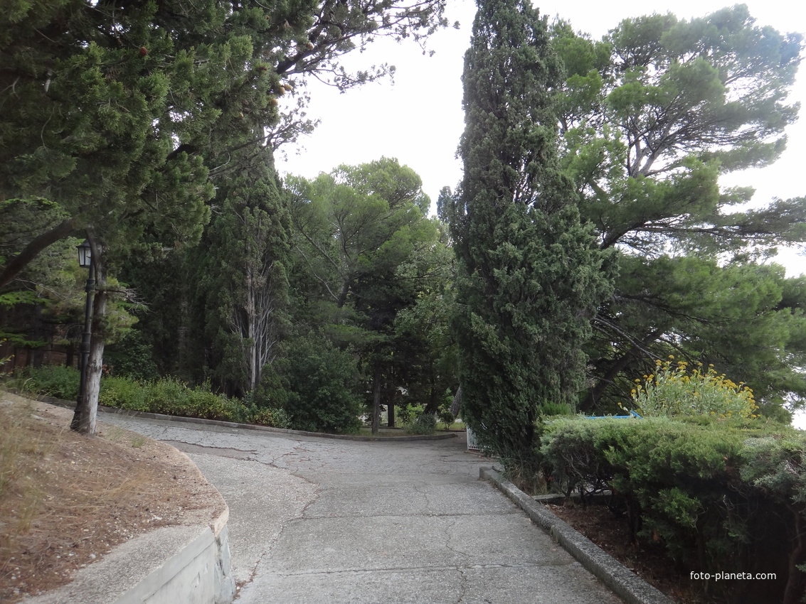 Парк "Дюльбер". Разбит в конце XIX в. Инициатор создания парка - великий князь Петр Николаевич Романов (внук Николая I). Проект парка с учётом эскизов Романова разработал ялт. арх. Н. П. Краснов, высажен с участием  крымского садовода Л. Кремера.