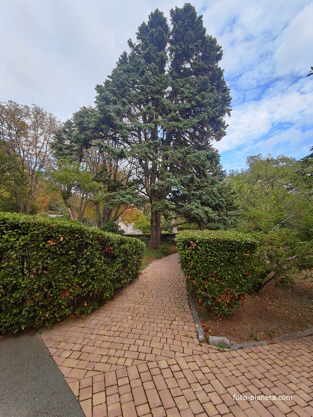 Архитектурно-парковый комплекс Юсуповского дворца в посёлке Кореиз. Площадь парка — около 16 га, создан известным ландшафтным дизайнером Карлом Кебахом и директором императорского ботанического сада Николаем Гартвисом в 1820-х гг.