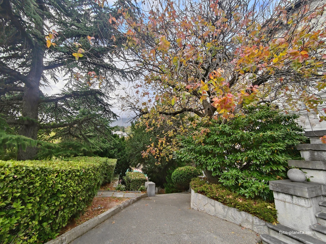 Архитектурно-парковый комплекс Юсуповского дворца. Площадь парка — около 16 га, создан известным ландшафтным дизайнером Карлом Кебахом и директором императорского ботанич. сада Николаем Гартвисом в 1820-х гг. Гостевой дом.