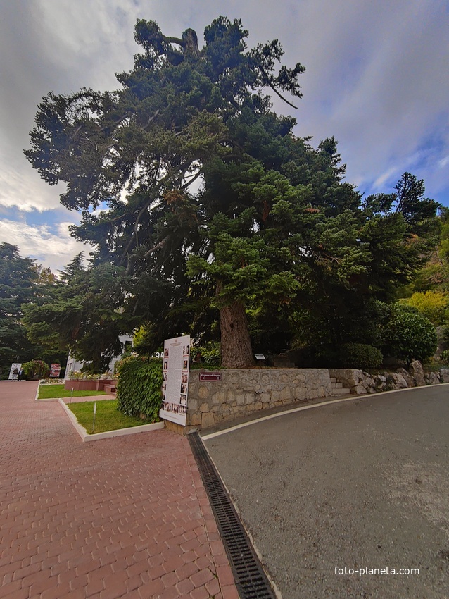 Архитектурно-парковый комплекс Юсуповского дворца в посёлке Кореиз. Площадь парка — около 16 га, создан известным ландшафтным дизайнером Карлом Кебахом и директором императорского ботанического сада Николаем Гартвисом в 1820-х гг.