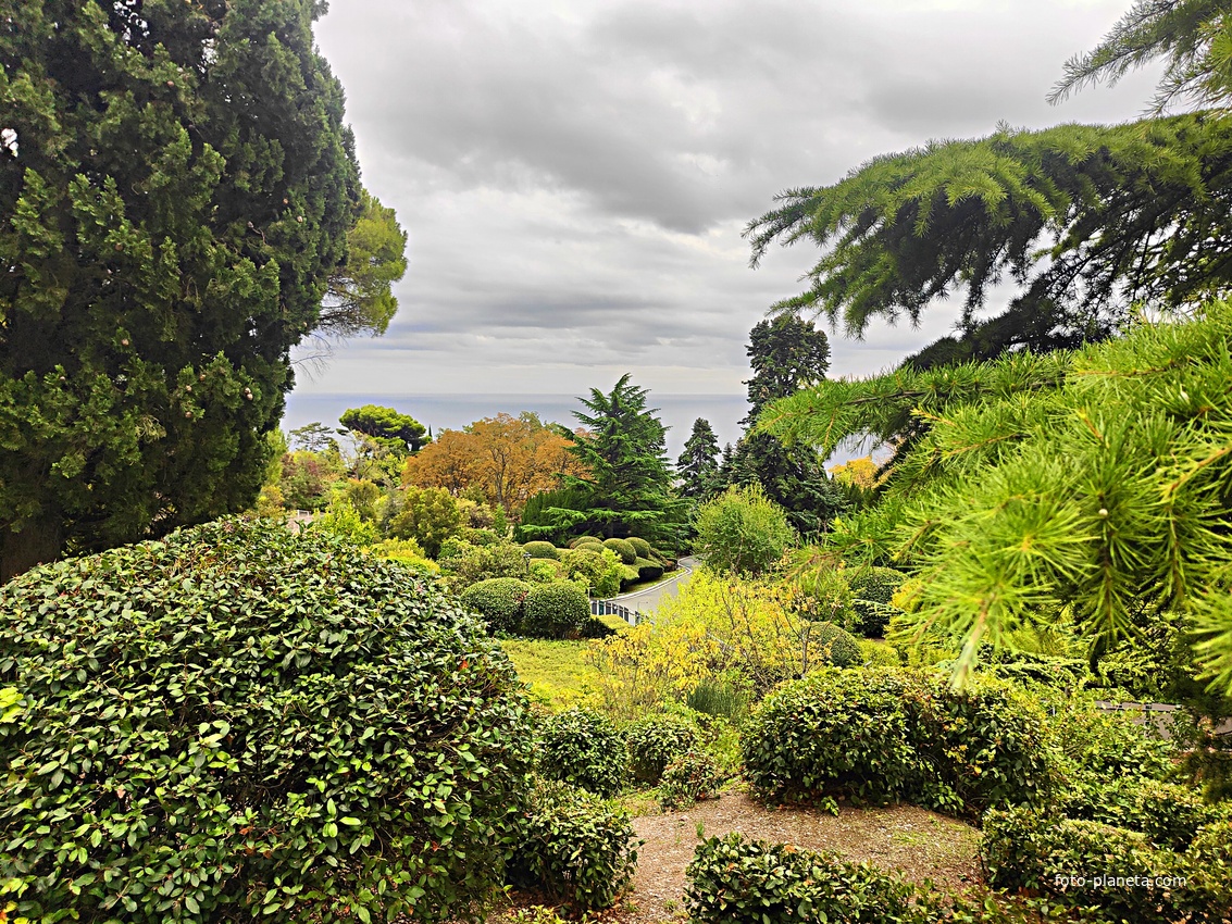 Архитектурно-парковый комплекс Юсуповского дворца в посёлке Кореиз. Площадь парка — около 16 га, создан известным ландшафтным дизайнером Карлом Кебахом и директором императорского ботанического сада Николаем Гартвисом в 1820-х гг.