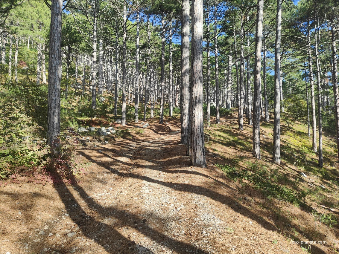 На Кореизской тропе.