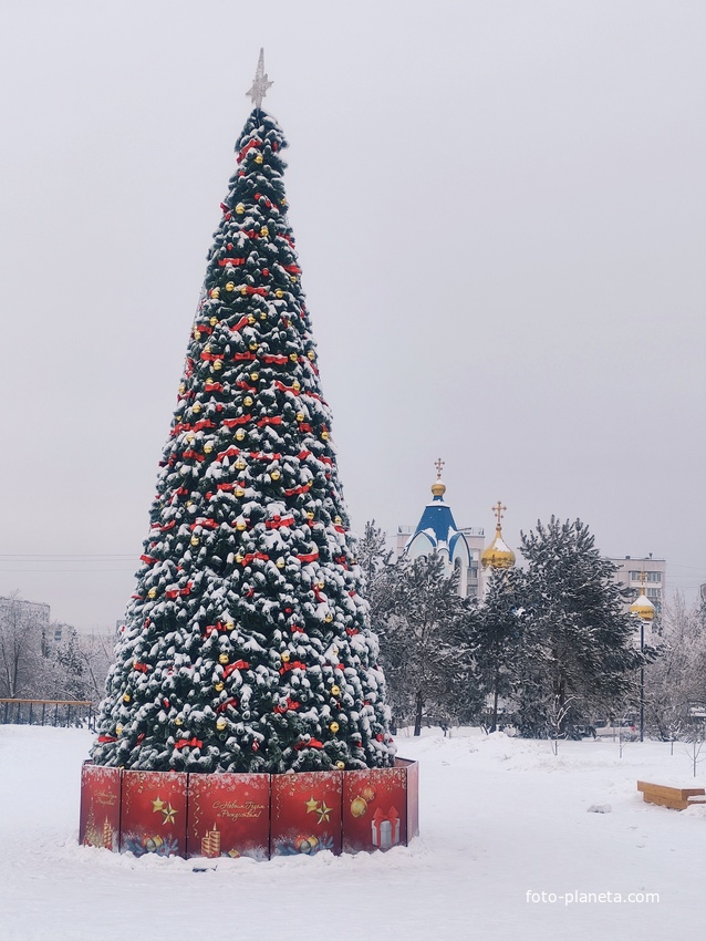 Городская ёлочка. Январь 2026