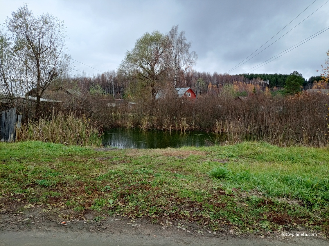 Пруд на улице Луначарского.