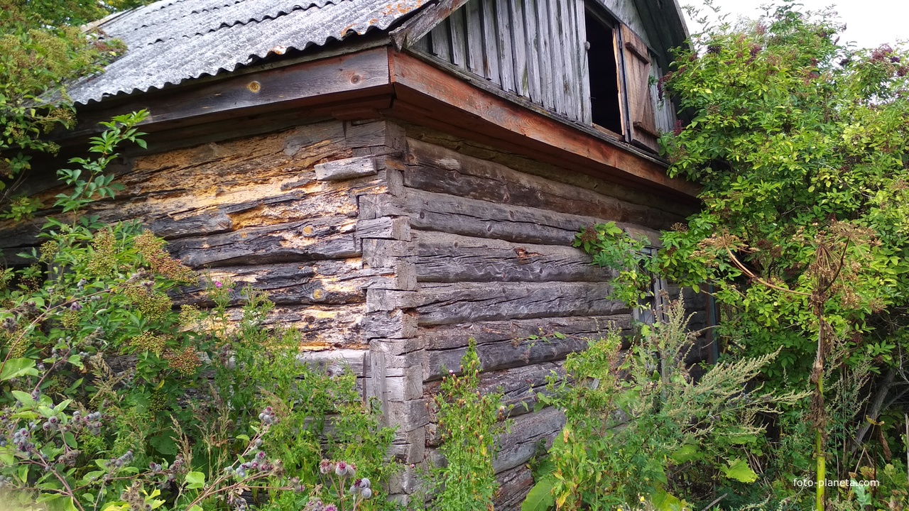 П.Звезда Брасовский район Брянская область