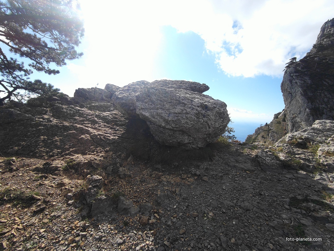 Вдоль Кореизской тропы на Вороньей скале в Ялтинском горно-лесном заповеднике.