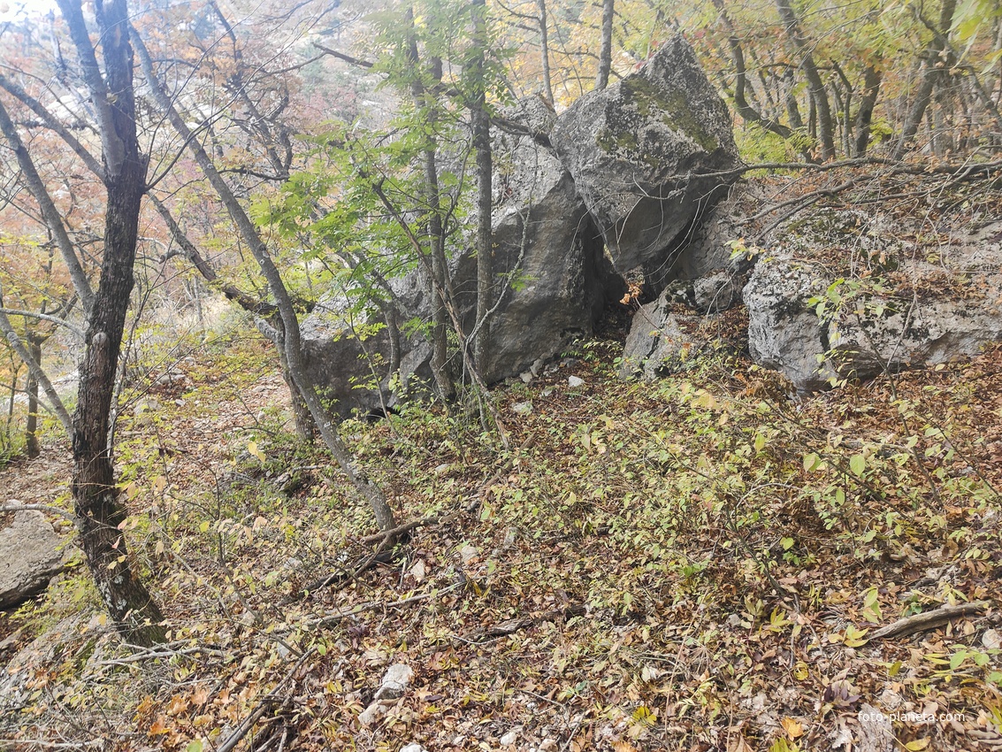 Вдоль Кореизской тропы за Вороньей скалой в Ялтинском горно-лесном заповеднике.