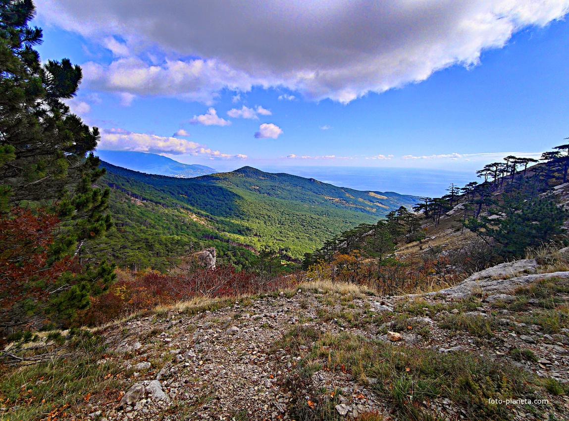Вдоль Кореизской тропы за Вороньей скалой в Ялтинском горно-лесном заповеднике.(она ниже, левее центра, а выше - г. Могаби).