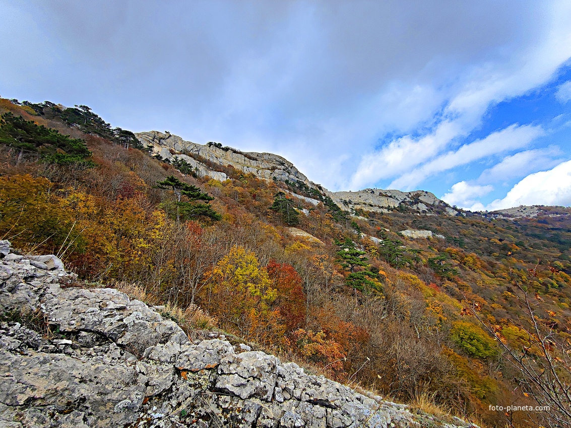 Вид с Кореизской тропы в Ялтинском горно-лесном заповеднике на склоны Ай-Петринской яйлы  перед её вершиной.