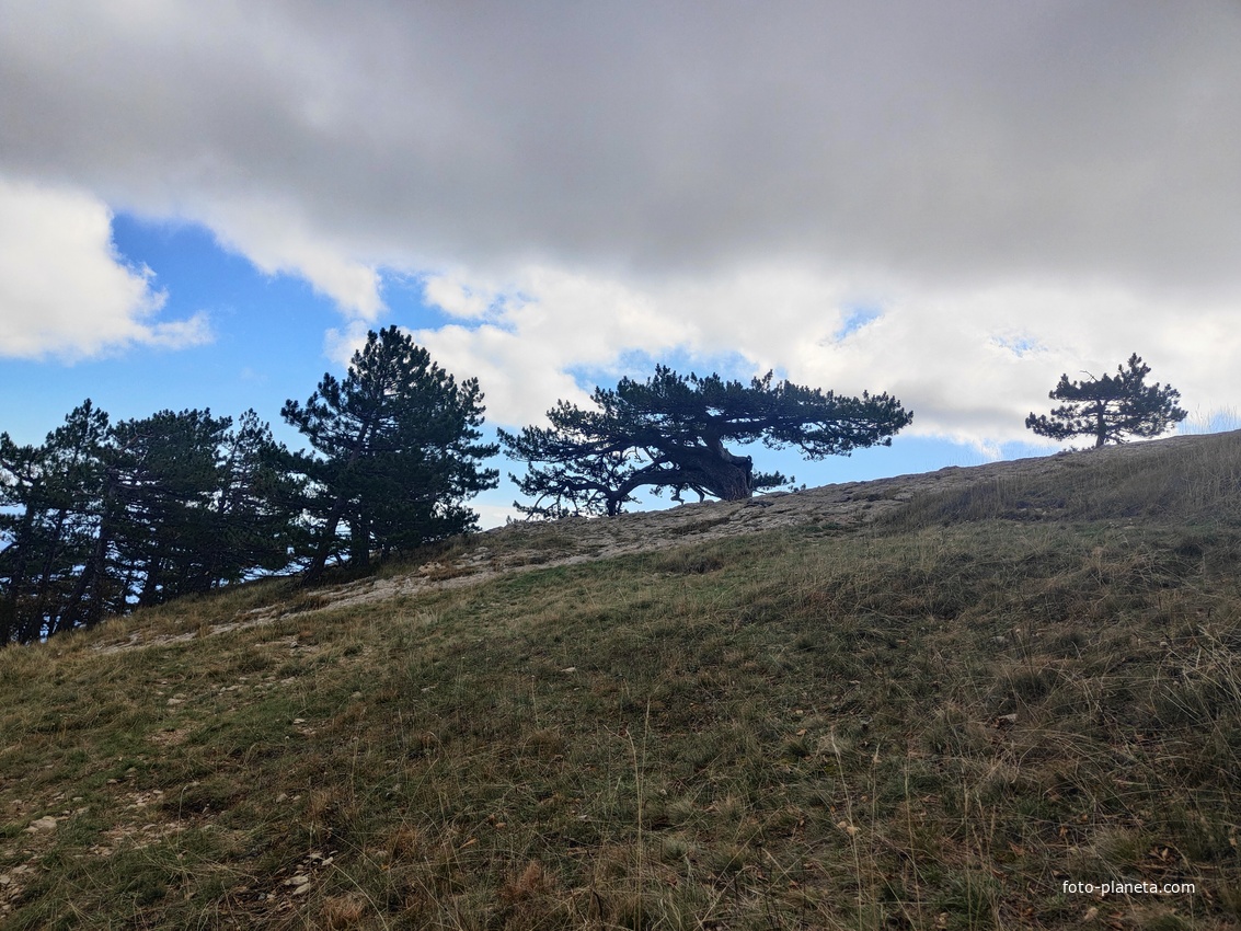 Склон перед вершиной Ай-Петринской яйлы.