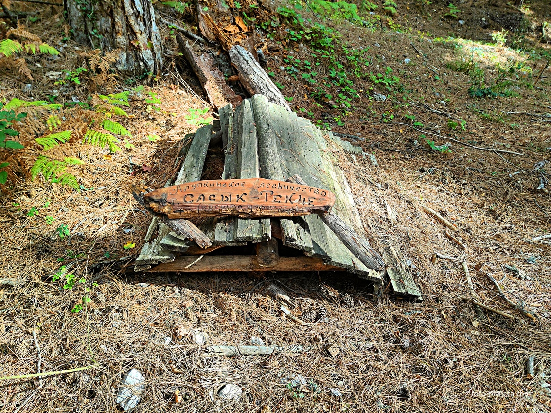 Сасых-Текне (Сасык-Текне) — родник на склонах Ай-Петри возле Кореизской тропы в Ялтинском горно-лесном заповеднике..