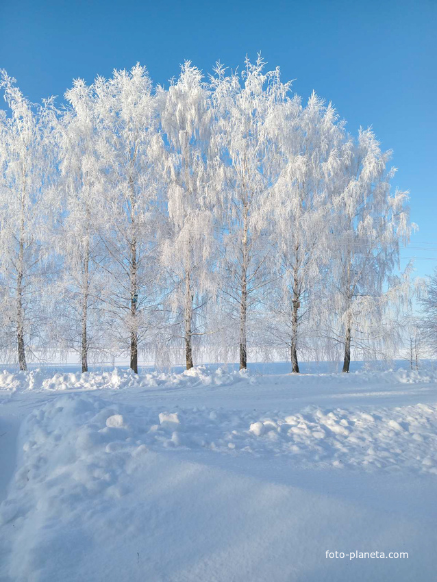 Деревня Шепелевка, зимнее утро