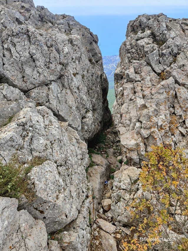 На вершине г. Ай-Петри. Скальная расщелина.