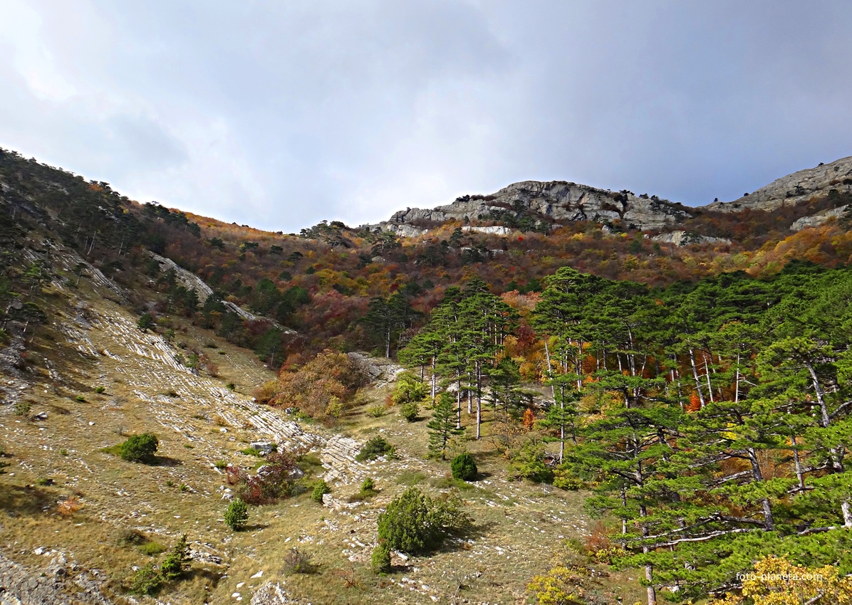 Вдоль Кореизской тропы на Вороньей скале в Ялтинском горно-лесном заповеднике. Впереди - склон Ай-Петри.