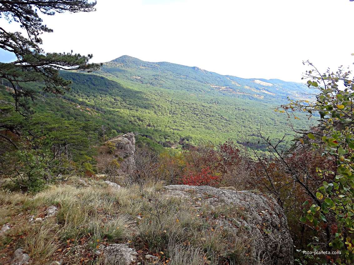 Вдоль Кореизской тропы за Вороньей скалой в Ялтинском горно-лесном заповеднике (она слева в центре, а выше - г. Могаби).