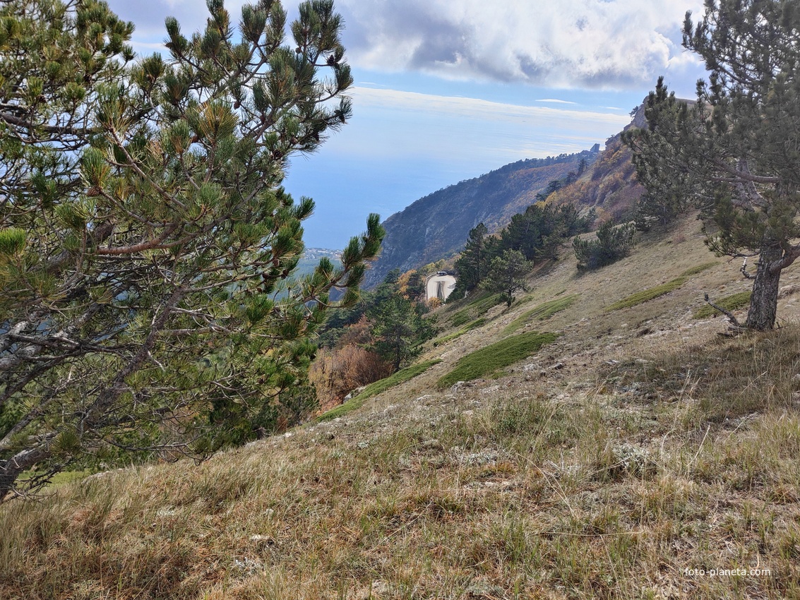 Вдоль дороги к п. Охотничье. В центре белые полоски - крутой поворот Бахчисарайского шоссе (дорожный серпантин, который в народе иногда называют "тёщин язык").