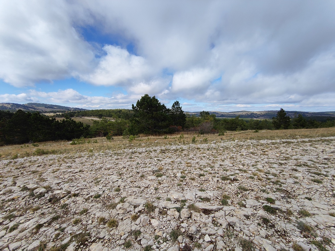 Ай-Петринская яйла вдоль дороги к пос. Охотничье.