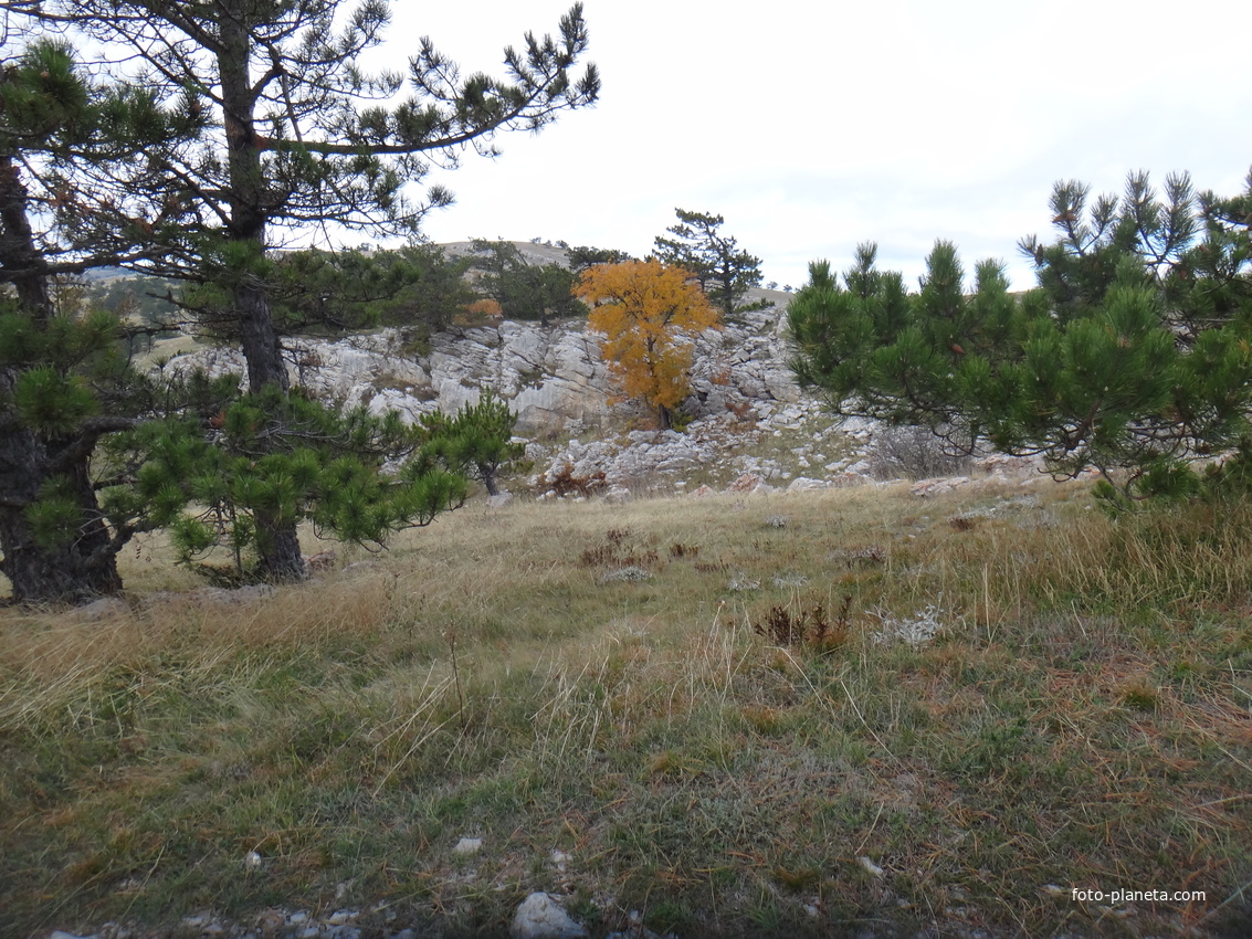 На плато Ай-Петри. Вдоль дороги от горы Ай-Петри к посёлку Охотничье.