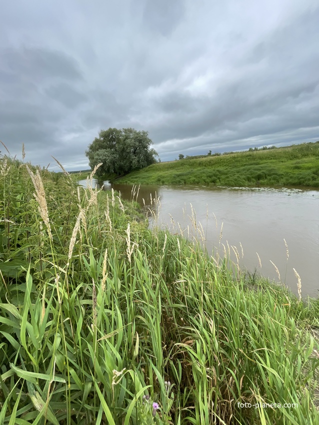 Река Барсук