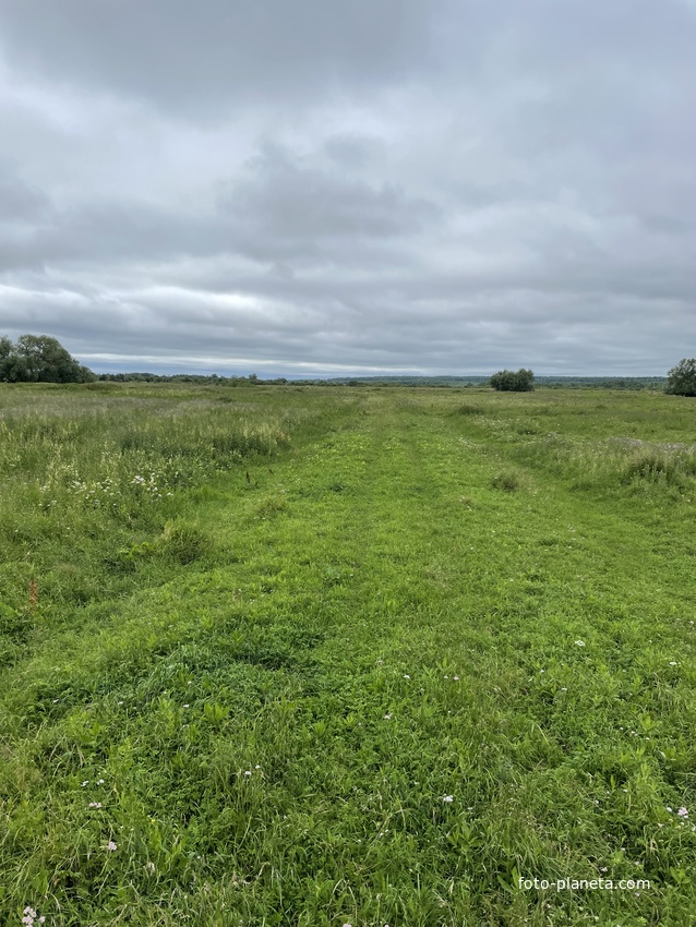 Четкое полотно дороги Тракта у моста