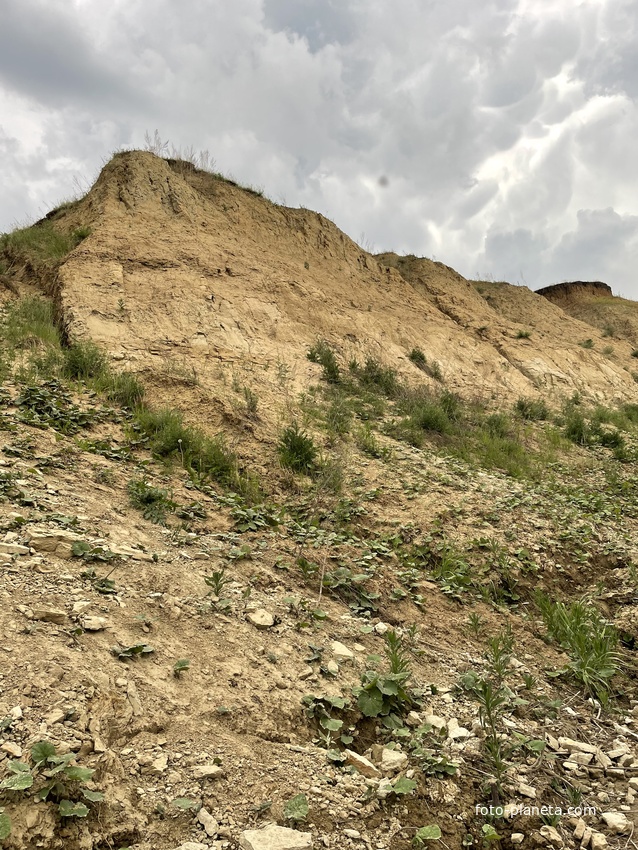 Собачья гора