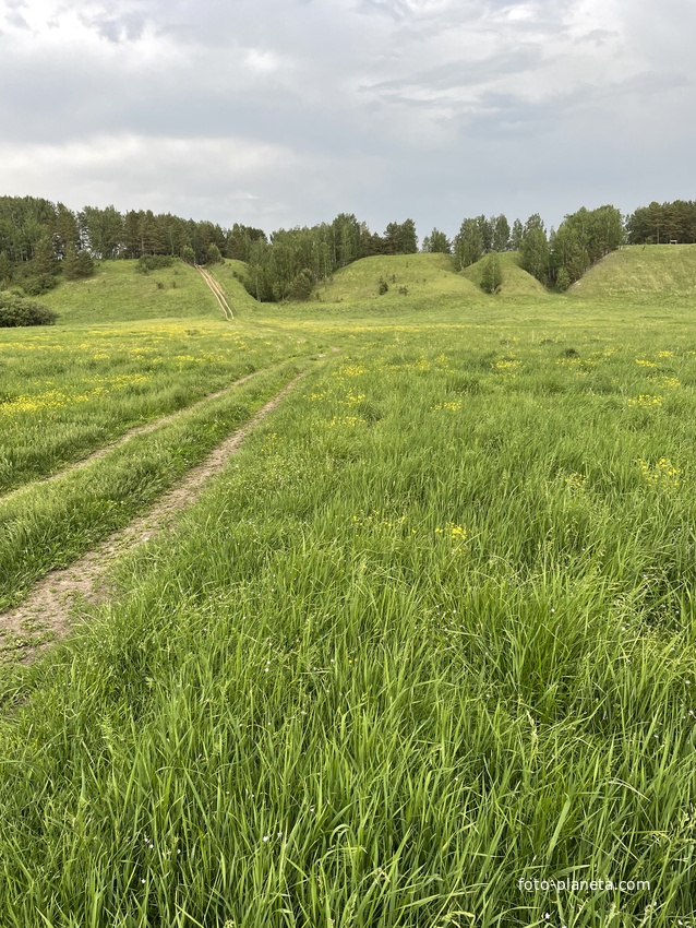 Дорога к Собачьей горе