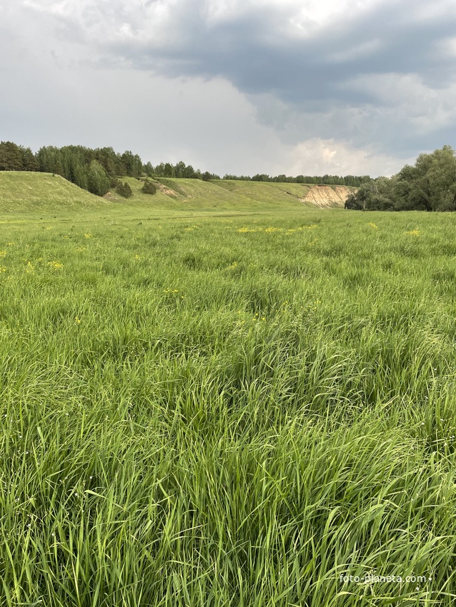 Вдали Собачья гора