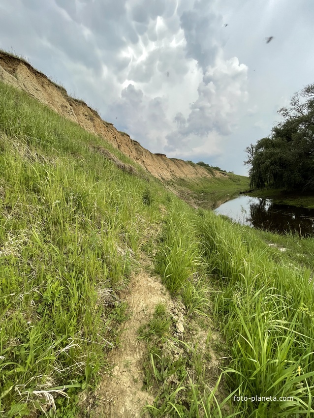 Собачья гора