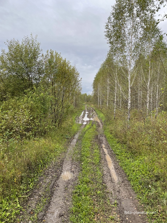 Бывшая улица