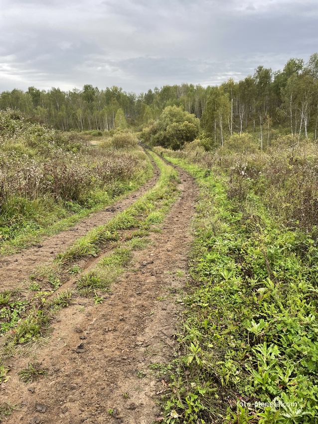 Дорога к речке и дальше к бывшему Кордону