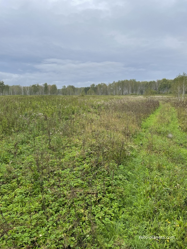 Бывшая улица