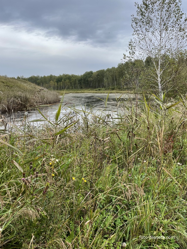 Речка Калманка