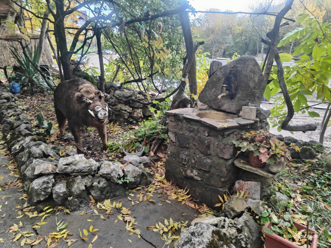 На территории кафе «Крымский дворик Улу-узень» недалеко от водопада Джур-Джур.