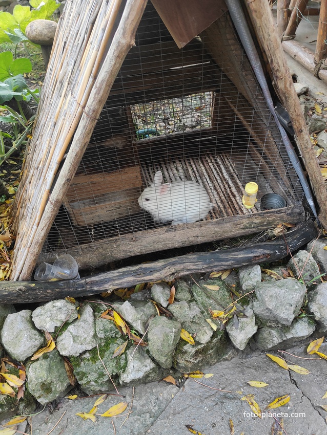 На территории кафе «Крымский дворик Улу-узень» недалеко от водопада Джур-Джур.
