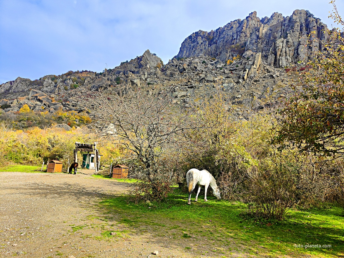 У подножия горы Южная Демерджи.