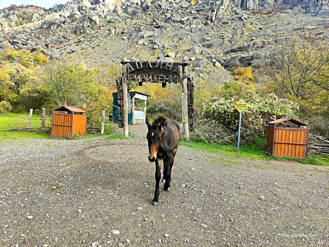 У подножия горы Южная Демерджи.