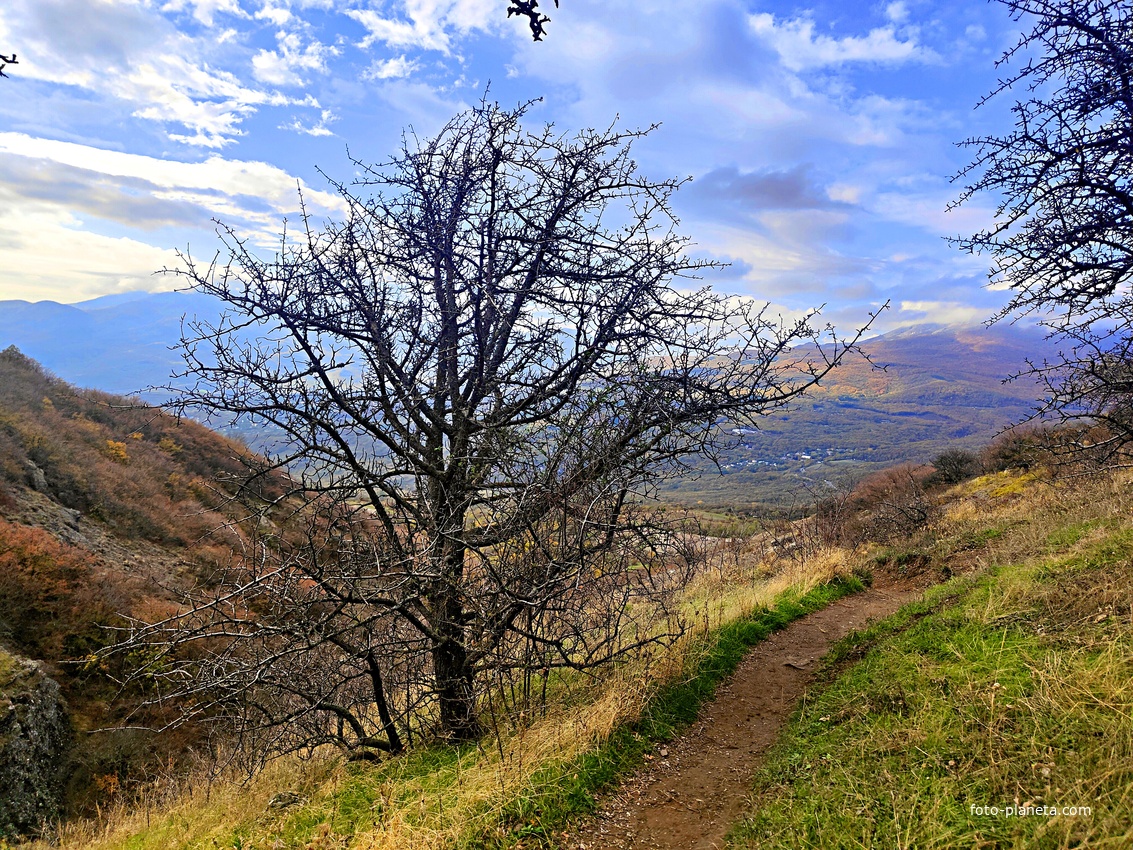 На склоне горы Южная Демерджи.