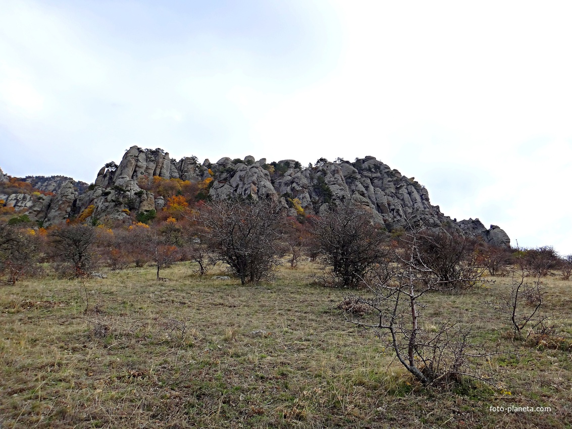 На склоне горы Южная Демерджи.