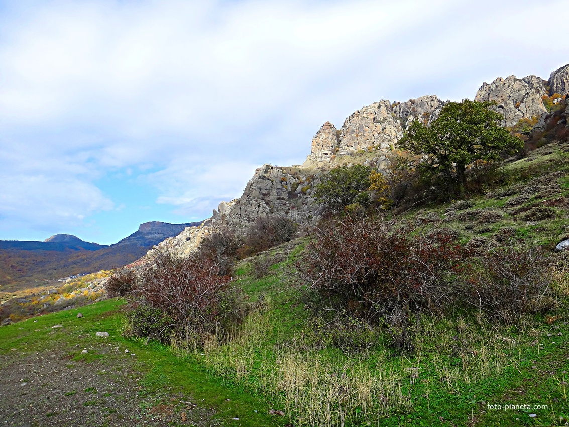 На склоне горы Южная Демерджи.