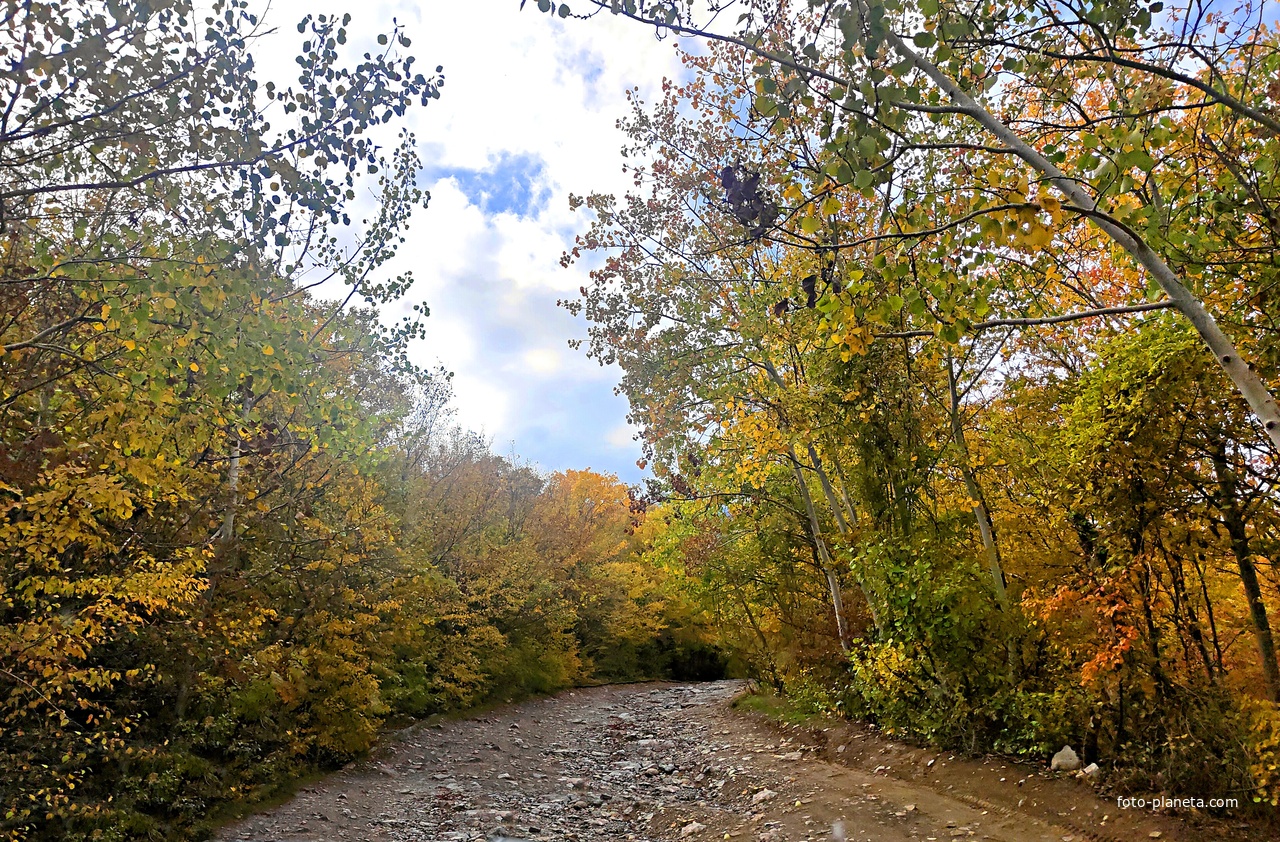 Дорога от кафе «Крымский дворик Улу-узень» к водопаду Джур-Джур.