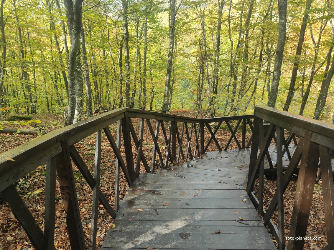 Экотропа с деревянными ступенями и перилами к водопаду Джур-Джур на реке Улу-узень по территории гос. природного гидрологического заказника регионального значения «Хапхальский».