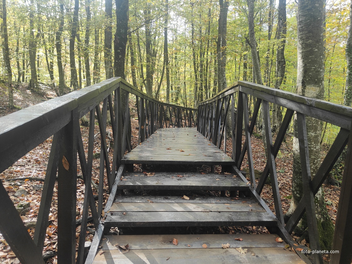 Экотропа с деревянными ступенями и перилами к водопаду Джур-Джур на реке Улу-узень по территории гос. природного гидрологического заказника регионального значения «Хапхальский».