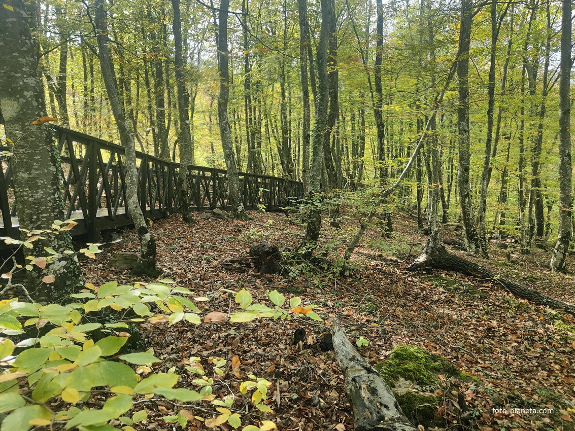 Экотропа с деревянными ступенями и перилами к водопаду Джур-Джур на реке Улу-узень по территории гос. природного гидрологического заказника регионального значения «Хапхальский».