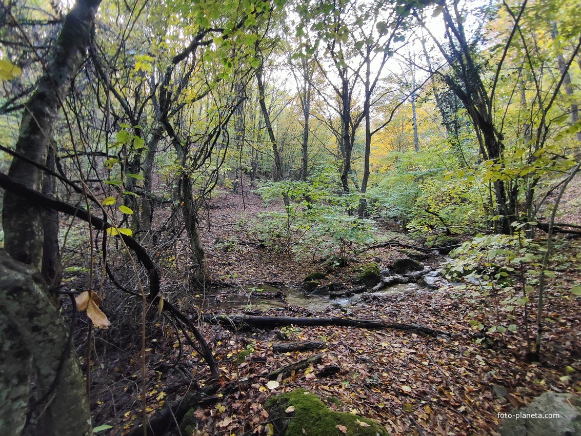 Вдоль экотропы к водопаду Джур-Джур на реке Улу-узень по территории гос. природного гидрологического заказника регионального значения «Хапхальский».